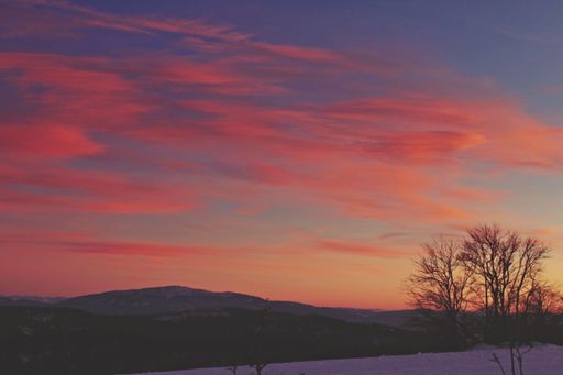 The silhouettes of the tree and hills against the background of the beautiful sky at sunset.
