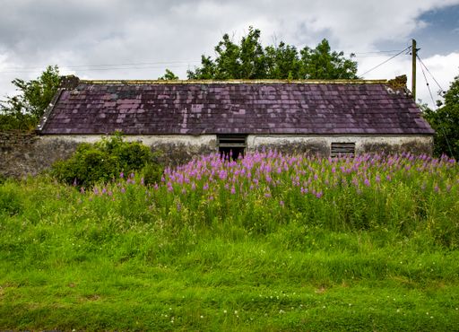 A beautiful house with a purple roof behind a field with pink flowers in a cloudy weather