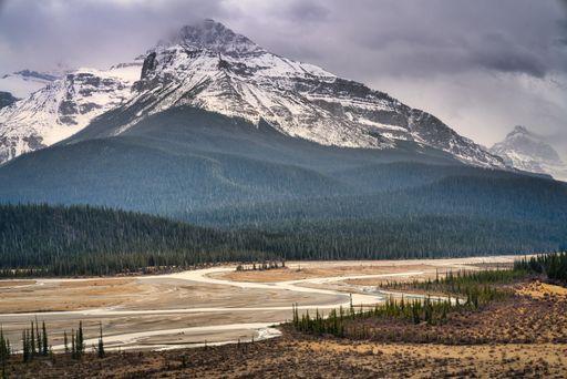 A high angle shot of a beautiful valley in front of a forest and snowy mountains in the background