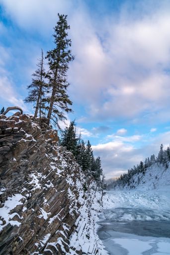 A vertical shot of a snowy field under the clear sky