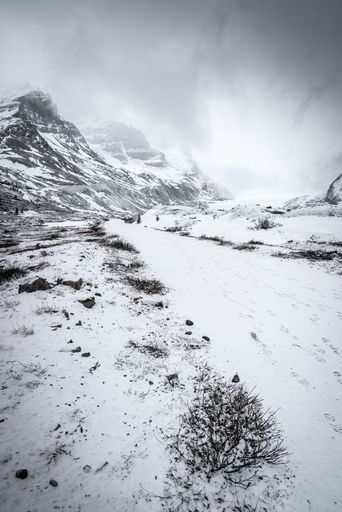 A vertical shot of a snowy forest surrounded by hills under the clear sky