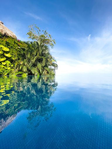 The vertical shot of a tropical coast with green leafy plants reflecting on the water
