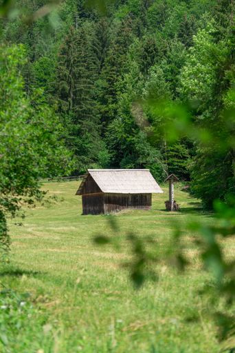 A vertical shot of a small wooden cottage in the middle of the meadow surrounded by trees