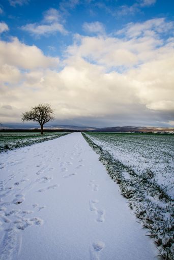 A vertical shot of a dirt road covered in snow in the middle of grass plain fields during winter