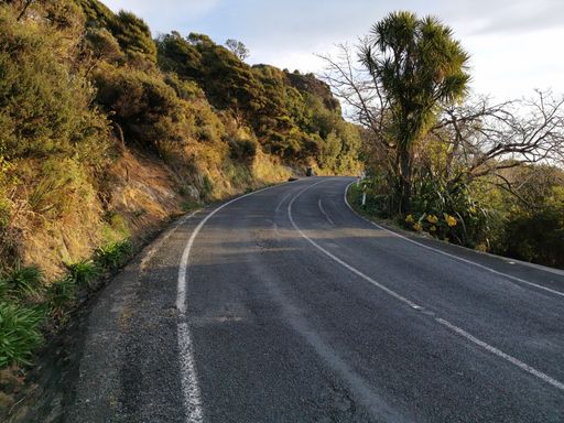 A closeup shot of a asphalt road curve with greenery on the side