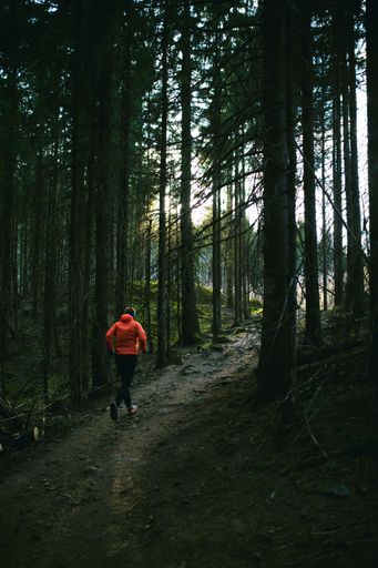 A man running in the pine forest