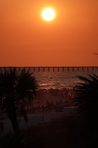 A vertical shot of the beautiful sunset reflected in the sea with palm trees on the shore