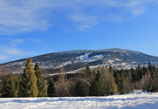 A beautiful shot of a landscape covered in snow during the day in winter