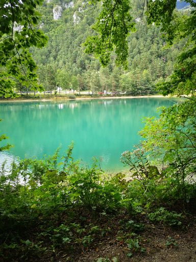 A vertical shot of a beautiful crystal lake surrounded by green nature