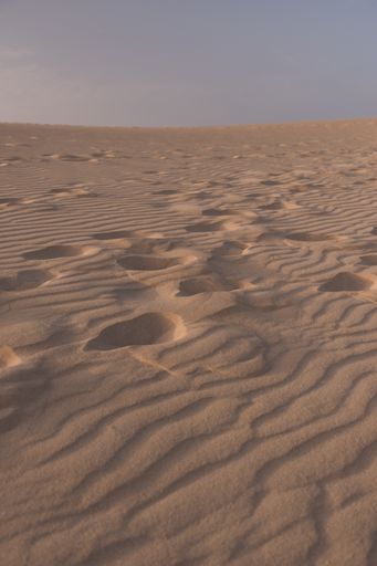 A vertical shot of the sand in Dunes of Corralejo in the Canary Islands, Spain