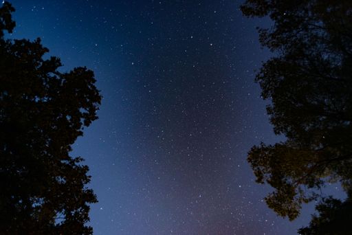 A vertical shot of a galaxy blue starry night sky near tree silhouettes