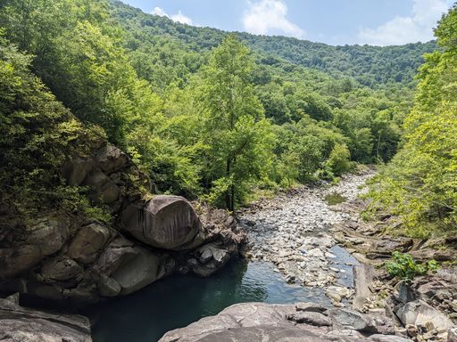 A beautiful landscape with green lush nature and a small water pond in sunny weather
