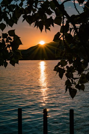 A vertical shot of the sun setting down behind a mountain over a beautiful calm sea with tree leaves falling over the water