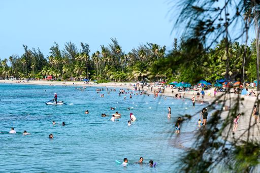 A beautiful beach with swimming people and tropical trees on the sandy shore in Lanham, United States