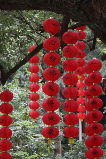 The Chinese traditional red lanterns hanging on the tree at Faxi temple in Hangzhou, Zhejiang