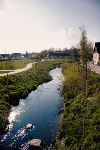 A vertical shot of a creek flowing through green grass near houses on a sunny day