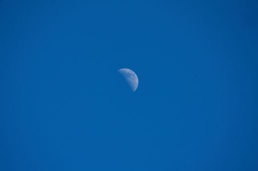 A low angle shot of the first quarter moon at daytime - perfect for wallpapers