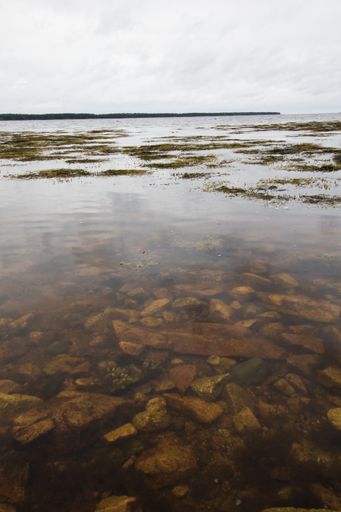 A vertical shot of the rocky beach by the calm sea captured on a cloudy day