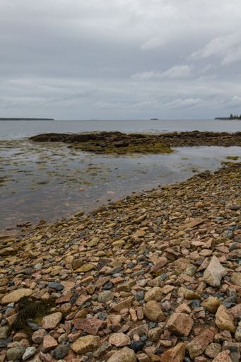 A vertical shot of the rocky beach by the calm sea captured on a cloudy day