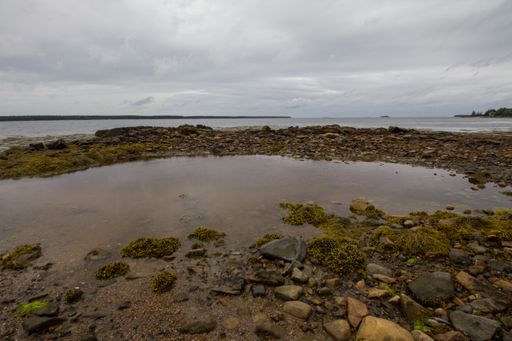 The rocky beach by the calm sea captured on a cloudy day
