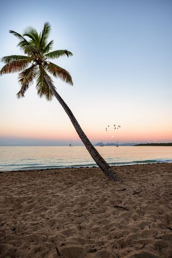 A nice view shot at sunrise at Salines Beach in Martinique. What an atmosphere !!