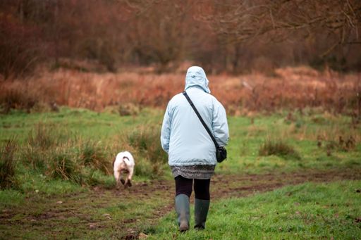 A woman walking in the meadow with her dog