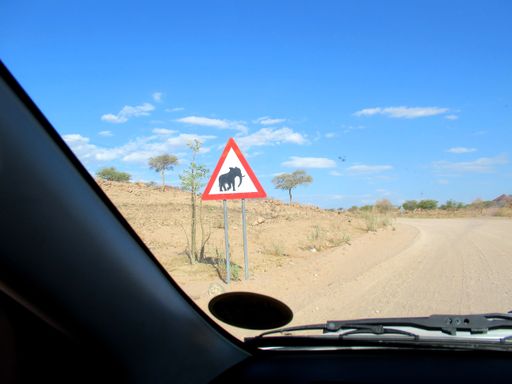 The large wild mammal animals that died as a result of vehicle collisions constituted a total of 9 species, with the African buffalo and spotted hyena