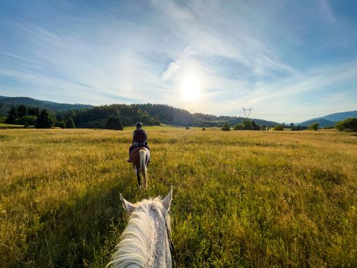 A closeup of a horse walking in the scenic countryside against the other horse, a horseman's POV