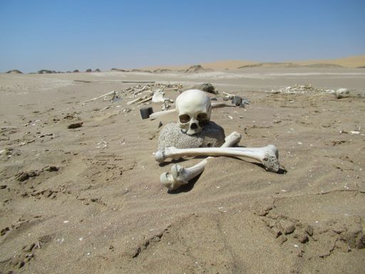 The "Skeleton Coast", where the Namib Desert meets the Atlantic Ocean in south-western Africa, is named after the bleached bones and shipwrecks.