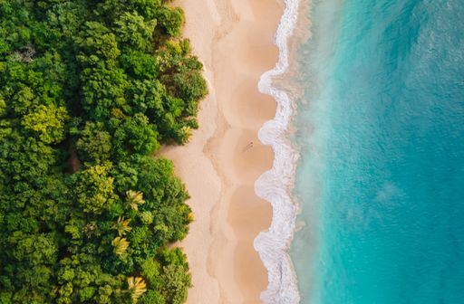 View from above of the Salines Beach in Martinique, displaying the best flag