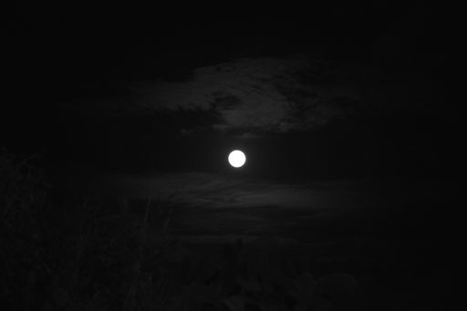 The full moon on a cloudy night sky