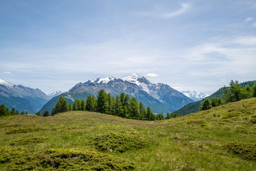 An aerial view of a green valley near snowy sharp mountains in Switzerland