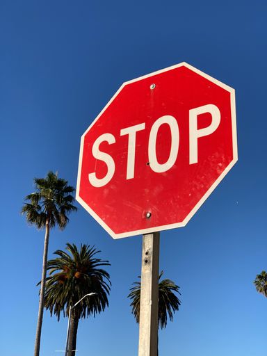 A low angle shot of a red "STOP" post sign against palm trees and a cloudless blue sky
