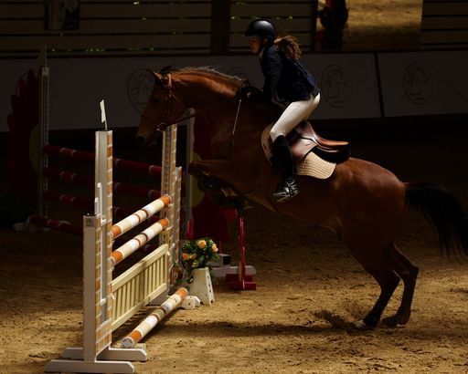 A female Caucasian equestrian on a horse jumping over an obstacle