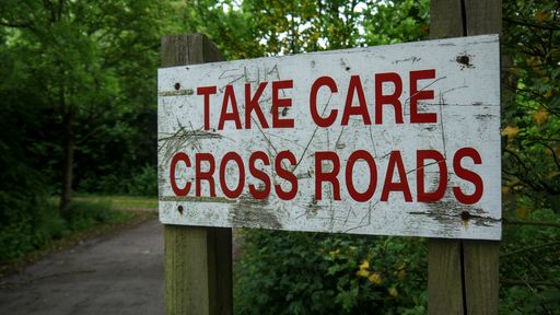 A closeup shot of a road sign on woods in a park