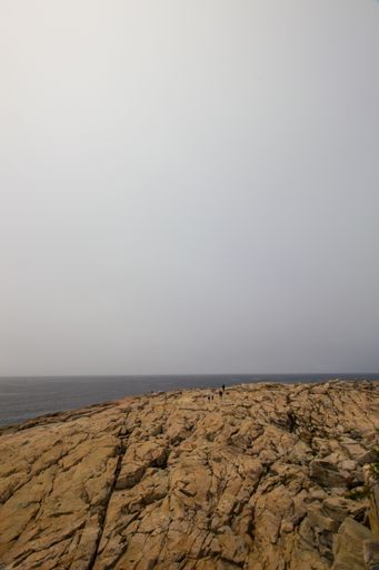 A vertical shot of cliffs surrounded by the sea covered in the fog - great for wallpapers