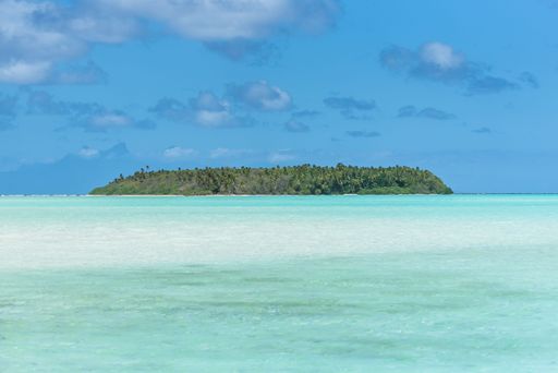 paradise island beach palms and clear turquoise ocean water in French Polynesia, with coconut tree