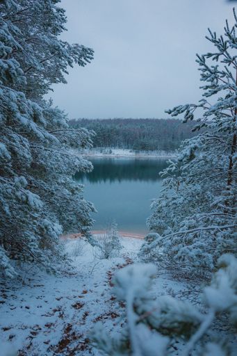 A beautiful landscape of a lake in a dense fir forest covered in snow on a gloomy day