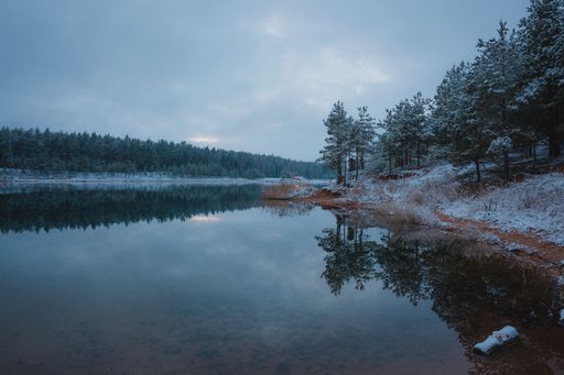 A beautiful landscape of fir trees covered in snow by the river on a gloomy day