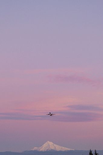 A vertical shot of a mountain at pink sunset in Portland, Oregon