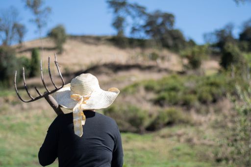 A middle-aged female farmer with a large sun hat and a rake working on an agricultural field