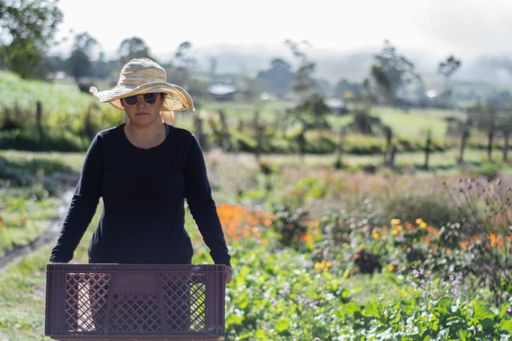 A female farmer with a large sun hat and a cart working on an agricultural field