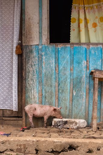 Sao Tome and principe, wooden huts in the tropical forest