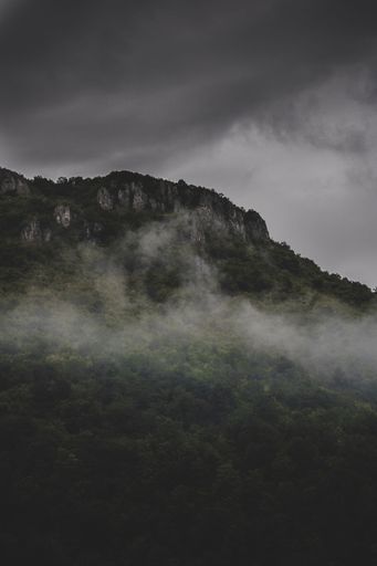 A vertical shot of foggy mountain landscape with a forest