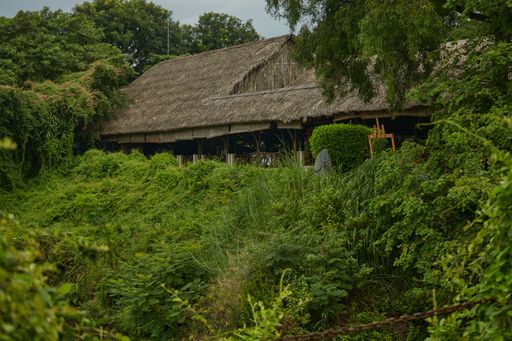 A lodge roof surrounded by lush green trees with a blue sky in the background,Buu Long, Ho Chi Minh City, Vietnam