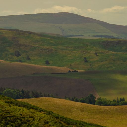 a beautiful green valley covered in vegetation