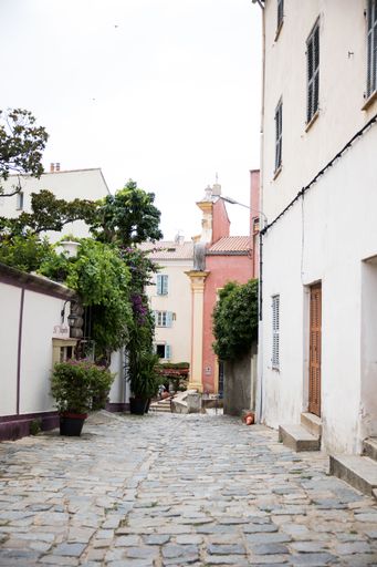 A vertical shot of a cozy cobblestone alley