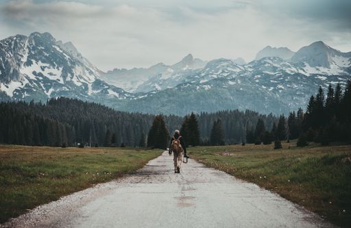 An aspiring photographer walking into a pine forest with snowy mountains in the background