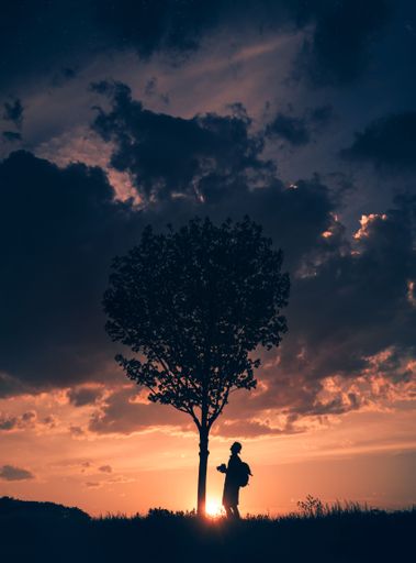 A silhouette of human standing near growing tree in field during sunset