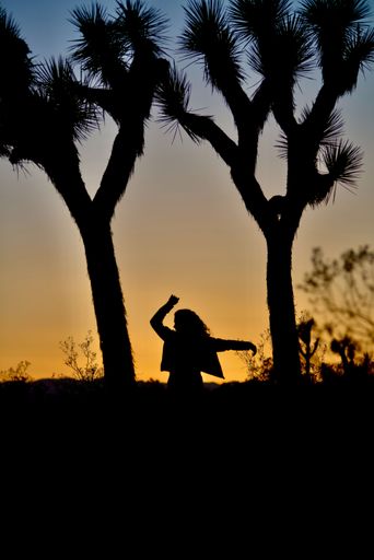 The silhouette of a woman dancing between two Joshua trees at dusk in California desert